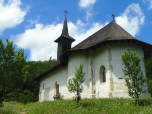 manastire cluj Mănăstirea ,,Sf.Ștefan Vodă” Vad - Cluj