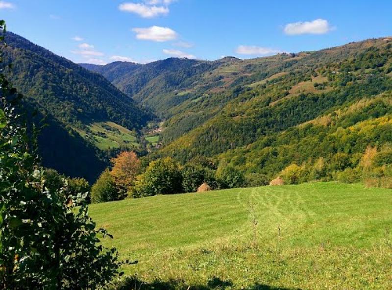 O imagine pitorească din Defileul Răcătăului, prezentând dealuri împădurite și pajiști verzi, sub un cer albastru cu nori pufoși.