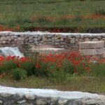 Castrul roman Potaissa