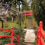 GRĂDINA BOTANICĂ "ALEXANDRU BORZA" Cluj-Napoca