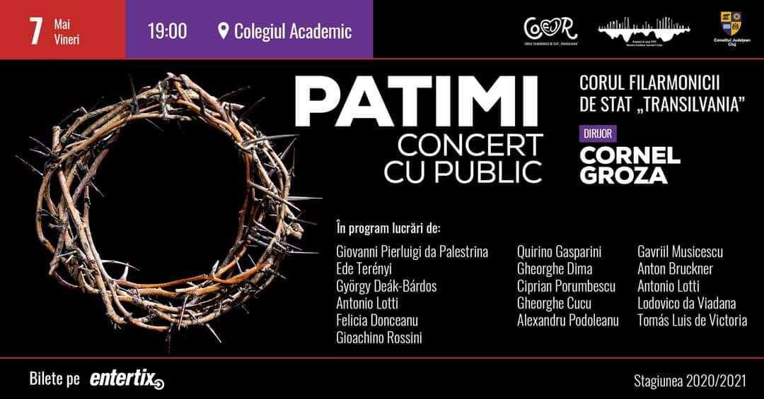 patimi poster