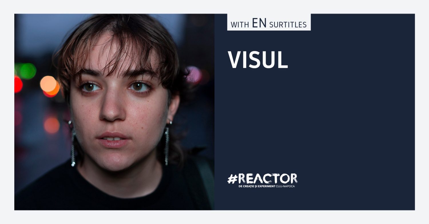 visul afis