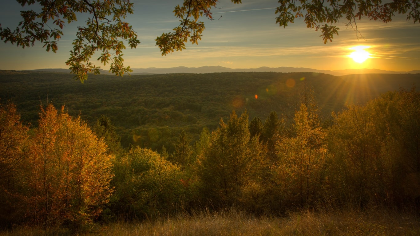Rezervații naturale Cluj